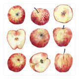 Apples (Print Only) thumbnail