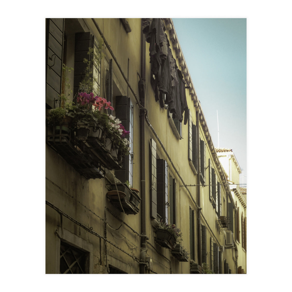 Windows From Tuscany 1 (Print Only)