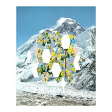Mountain Flower (Print Only) thumbnail
