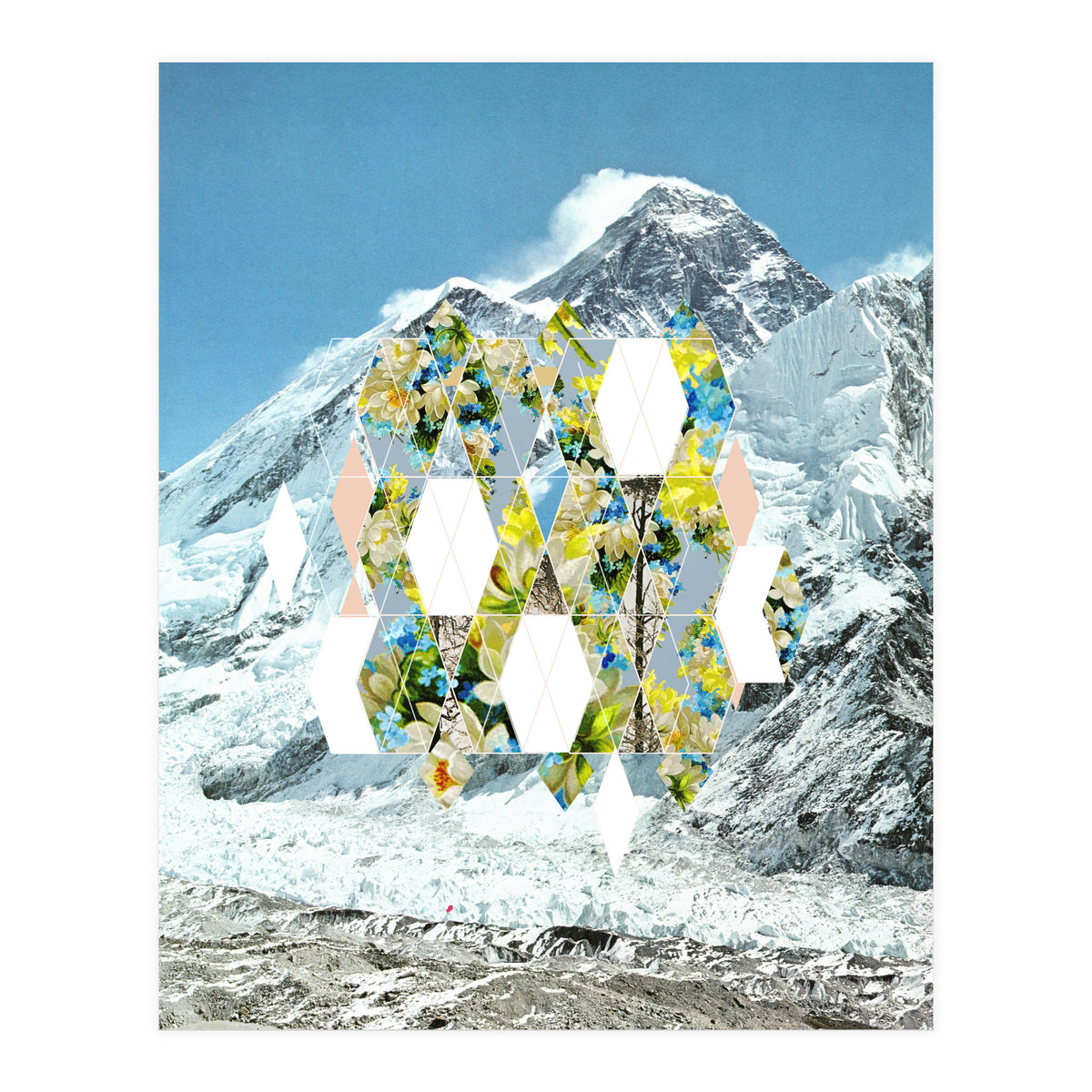 Mountain Flower (Print Only)