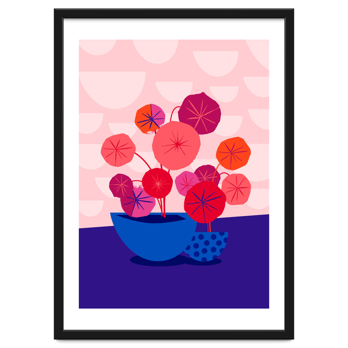 Pileas in Red and Pink