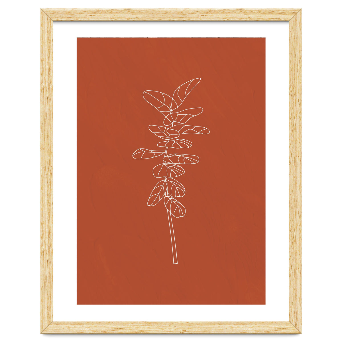 Line Art Botanical Terracotta