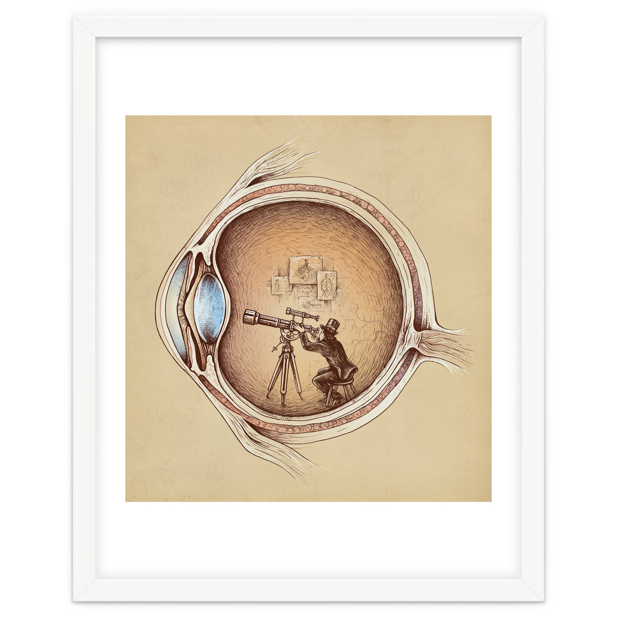 Extraordinary Observer