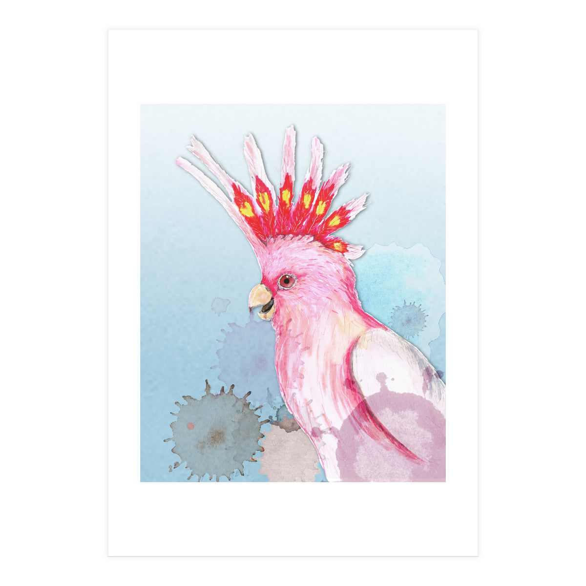 Major Mitchell's cockatoo (Print Only)