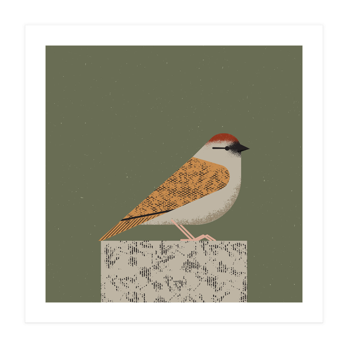 Sparrow  (Print Only)