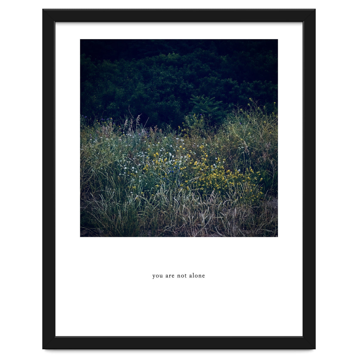 you are not alone - Nature Photography