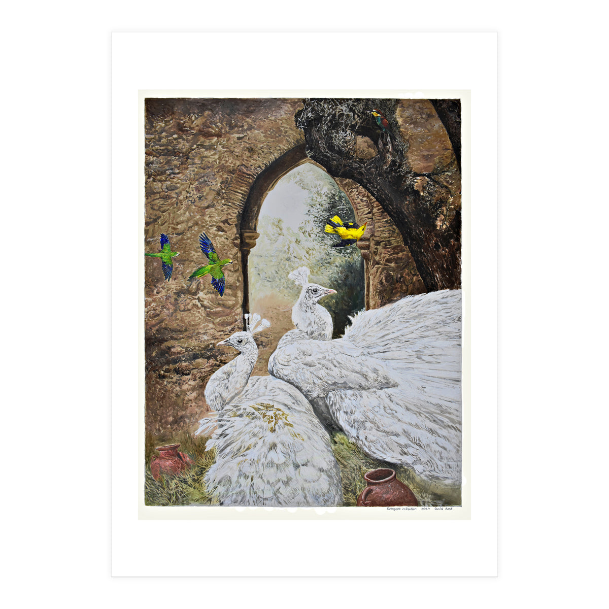 Portuguese Collection (Print Only)