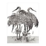 Crane Houses (Print Only) thumbnail