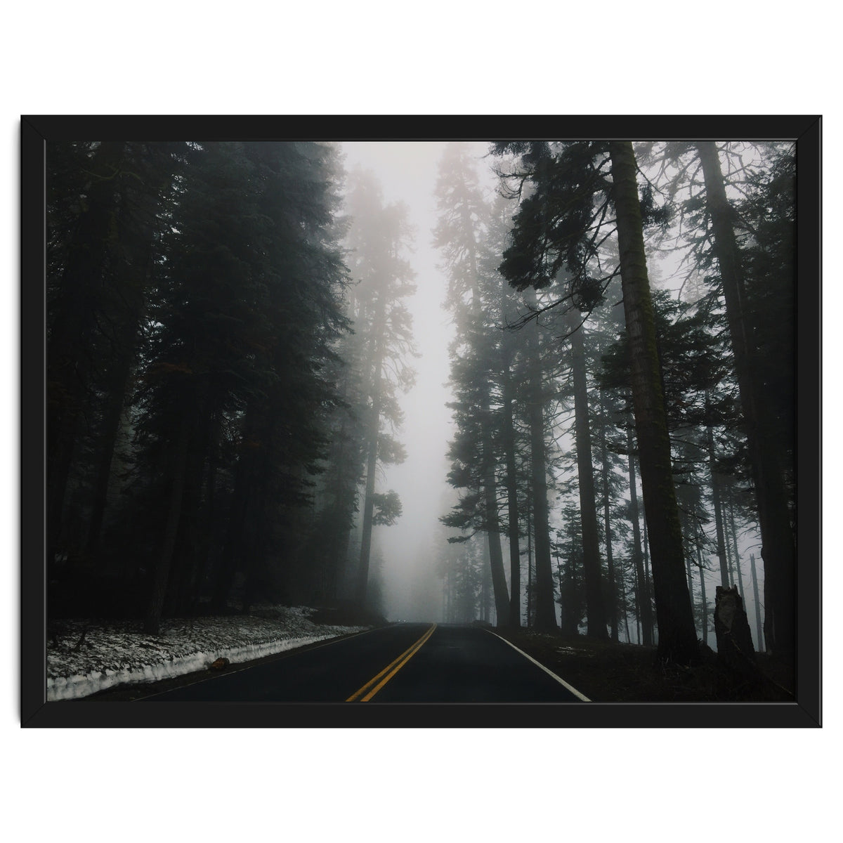 Foggy Yosemite