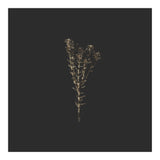 Moody Golden Botanicals - Square (Print Only) thumbnail
