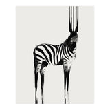 Zebra  (Print Only) thumbnail