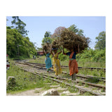 Nuwara Eliya, Sri Lanka (Print Only) thumbnail