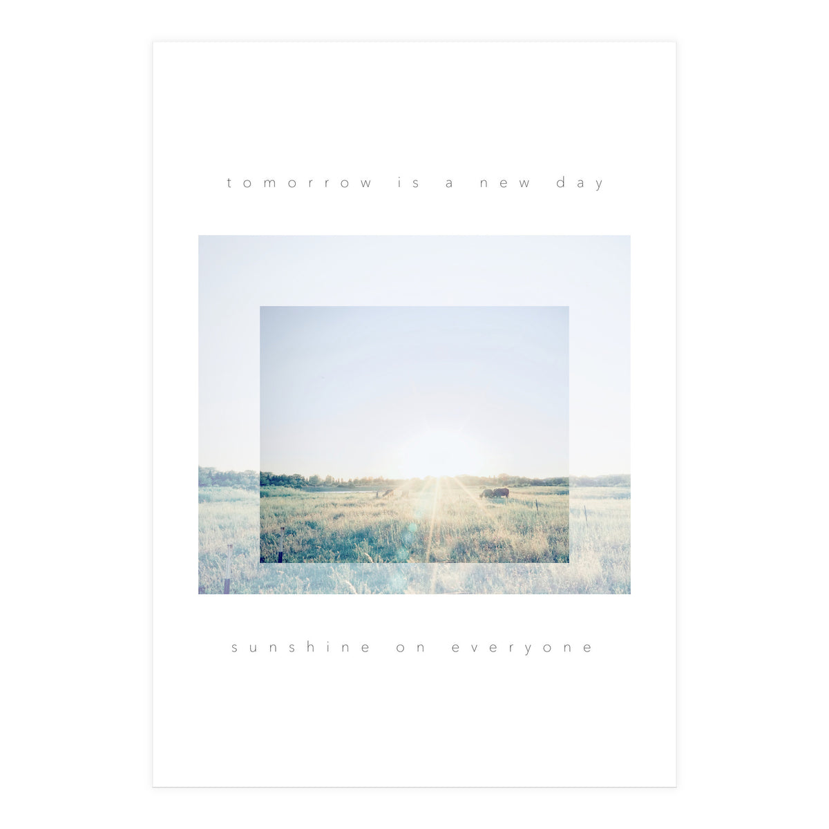 sunshine on everyone (Print Only)