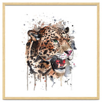 Leopard - Wildlife Collection