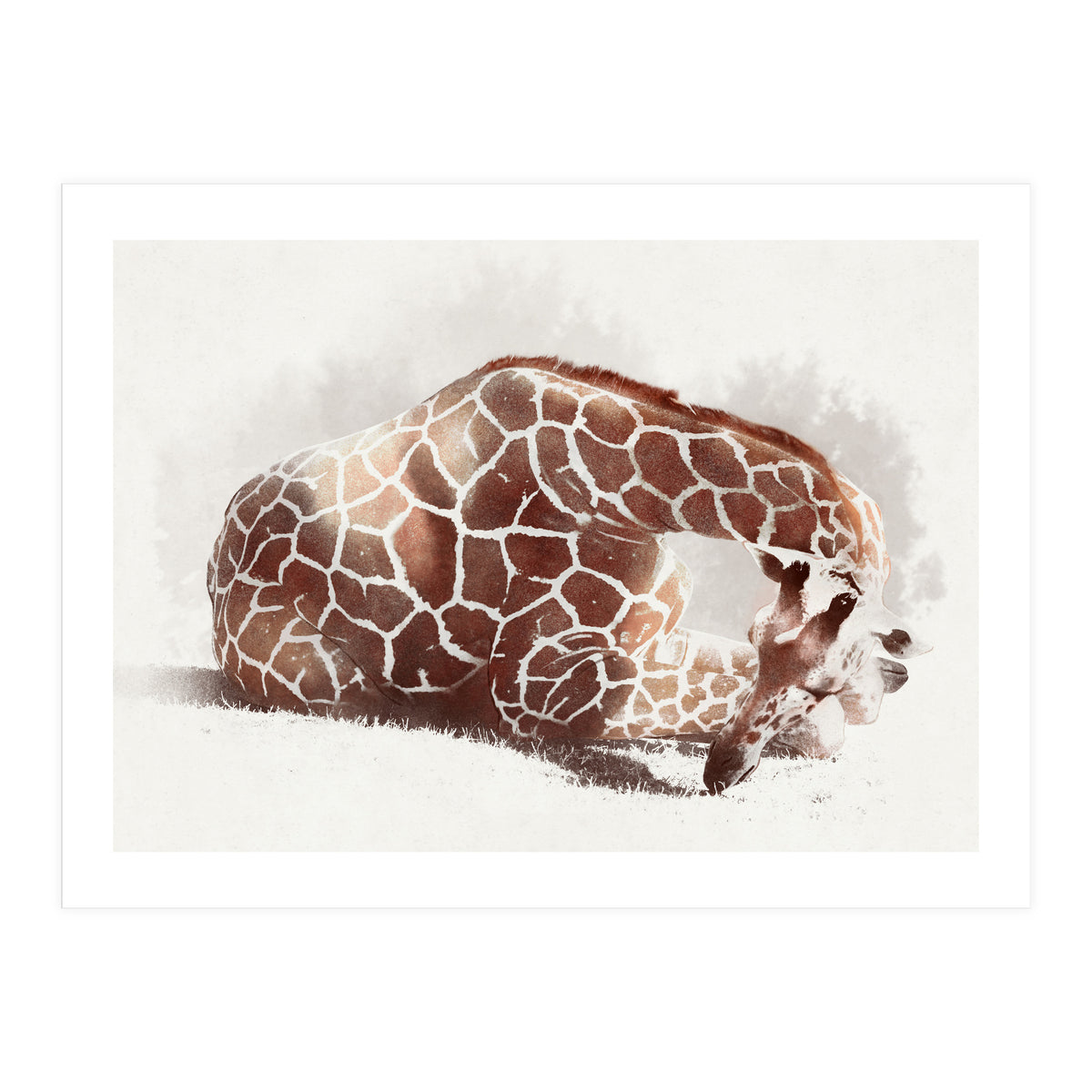 Giraffe (Print Only)