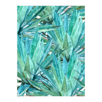 Agave  (Print Only)