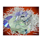 Destroyed information (Print Only) thumbnail