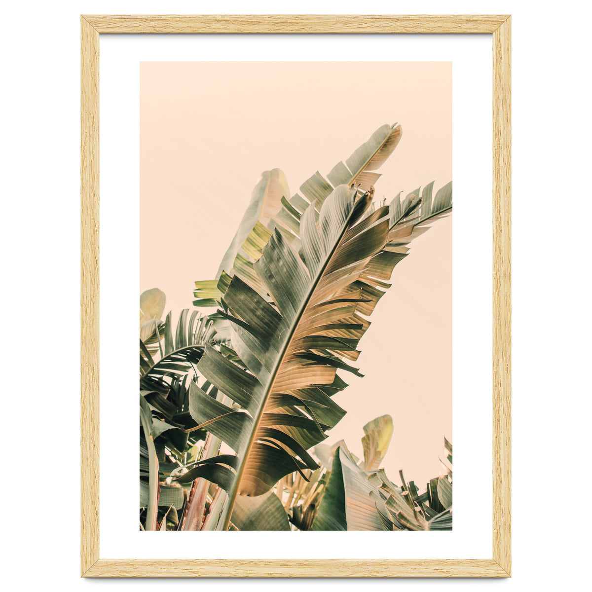 Growing Green Alicia Bock