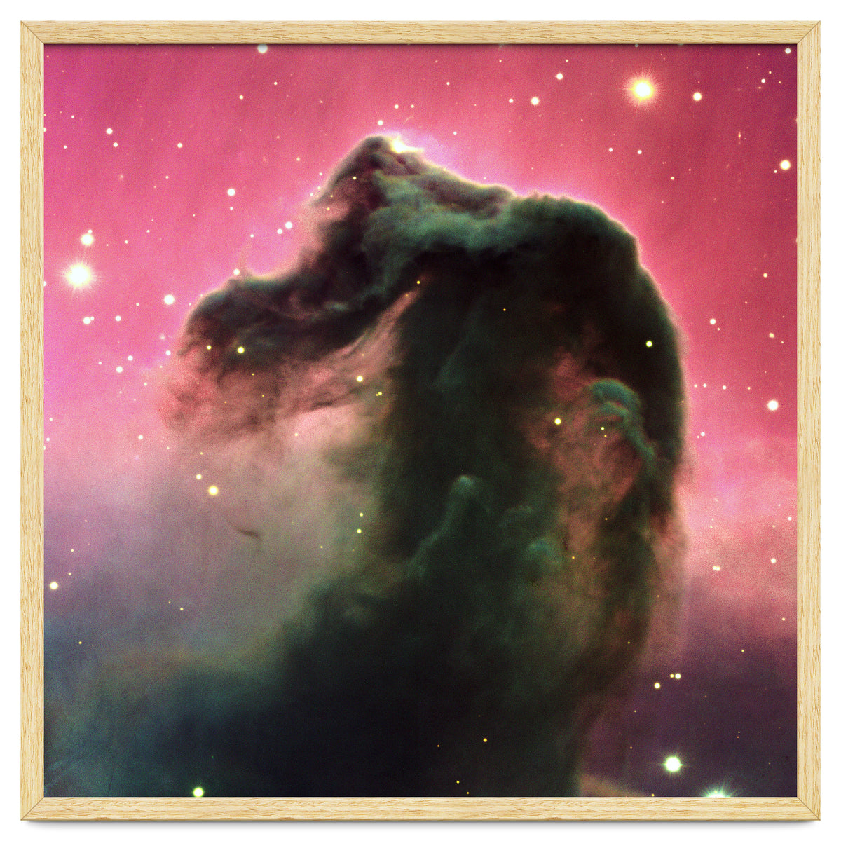 The Horsehead Nebula