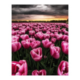 Spring Palette (Print Only) thumbnail