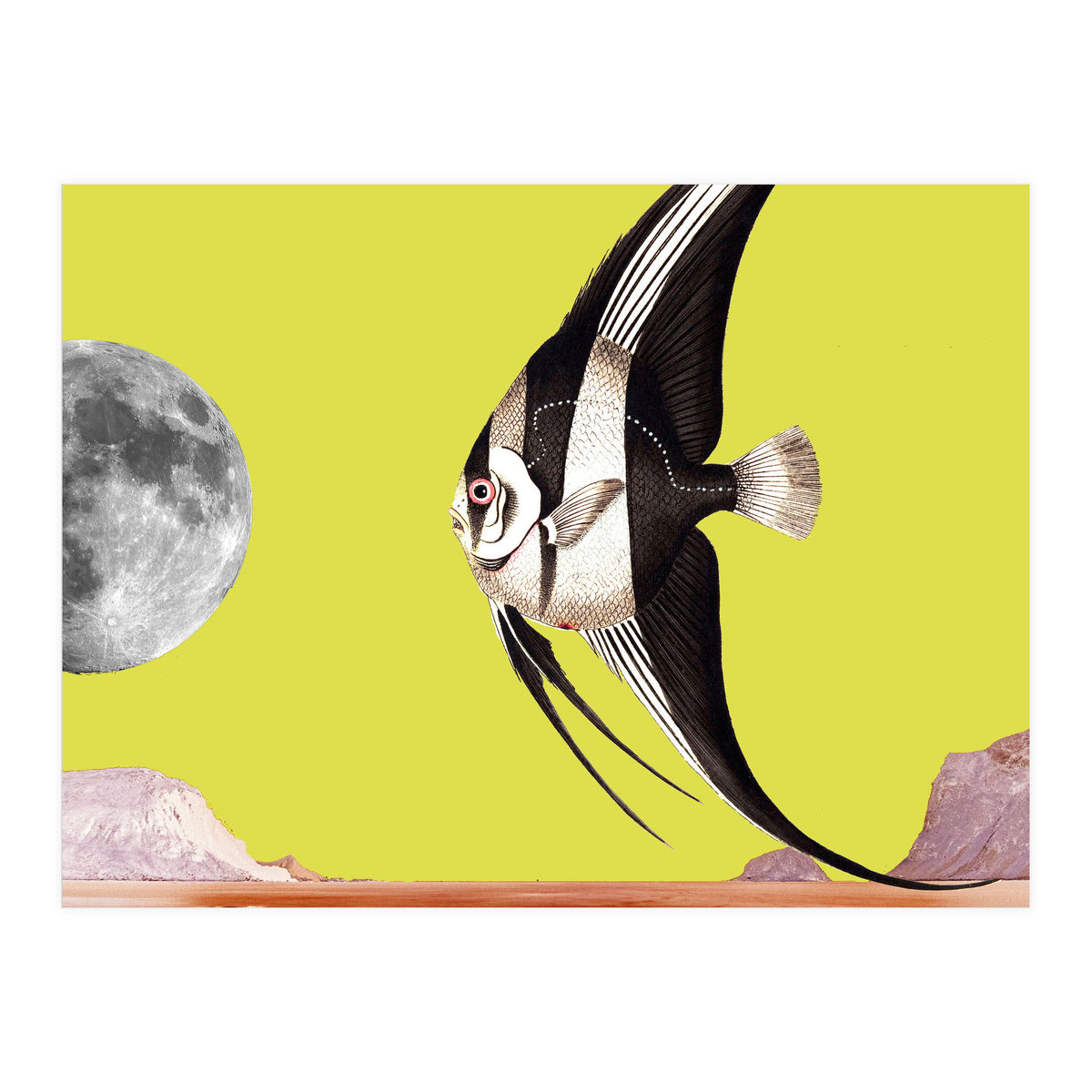 Plenty of fish in the sea yellow (Print Only)