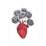 Heart With Peonies (Print Only) thumbnail