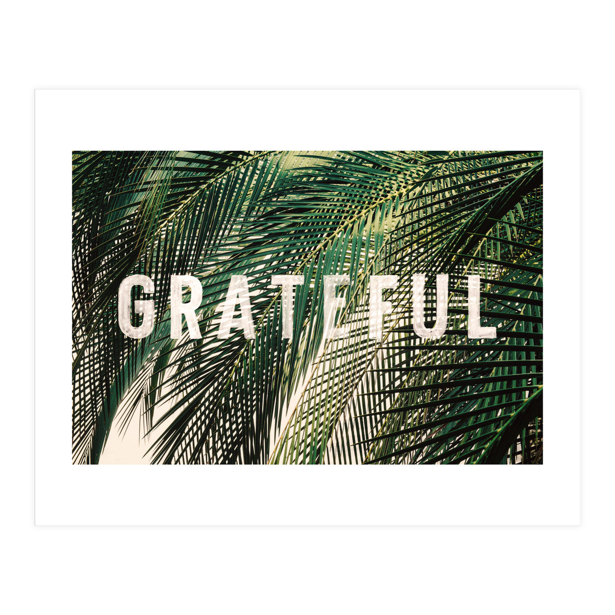 Grateful  (Print Only)