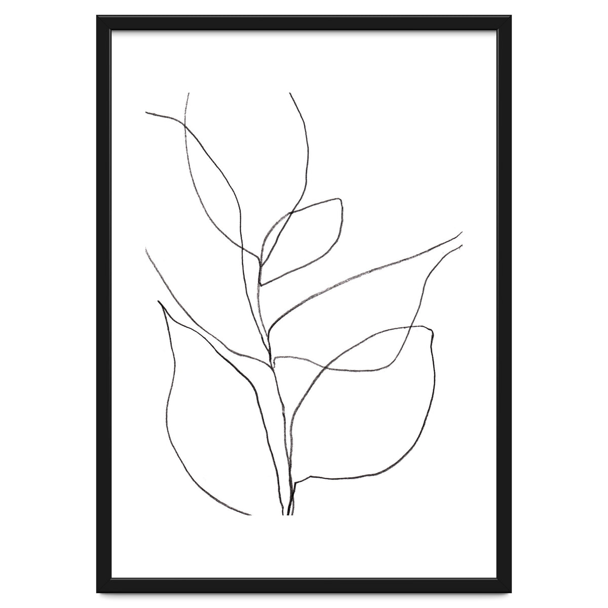 Plant Line Drawing