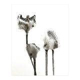 Flying Angels (Print Only) thumbnail