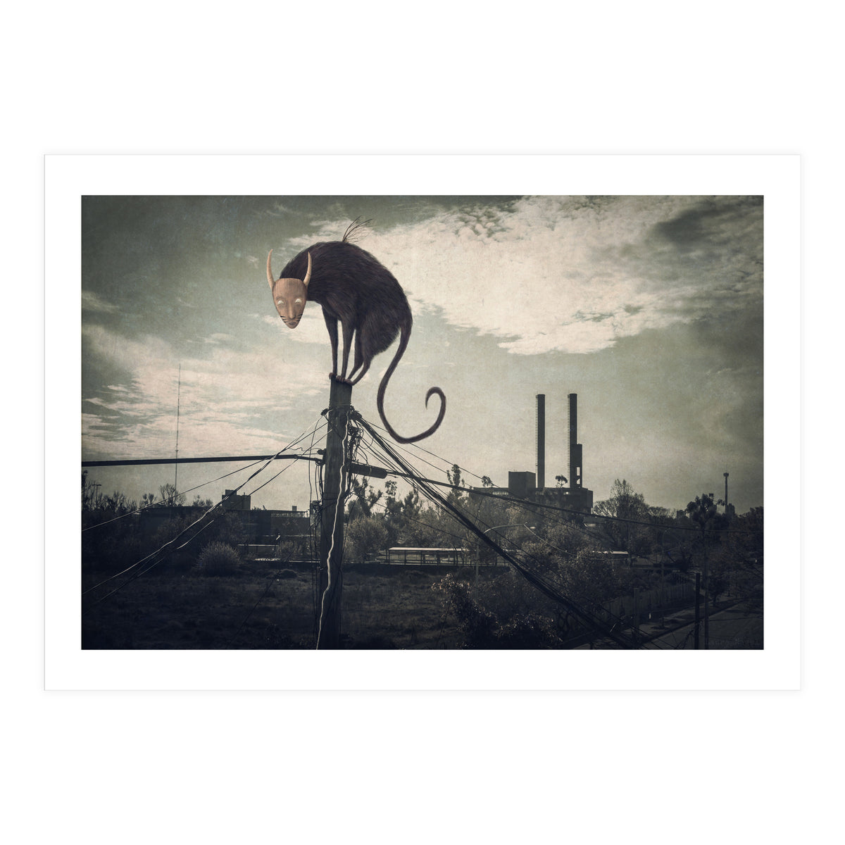 Bicho volador (Print Only)