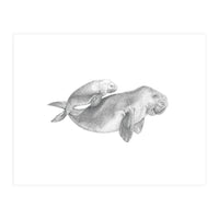 Dugongs no. 1 (Print Only)