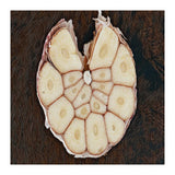 Garlic Italian Cuisine (Print Only) thumbnail