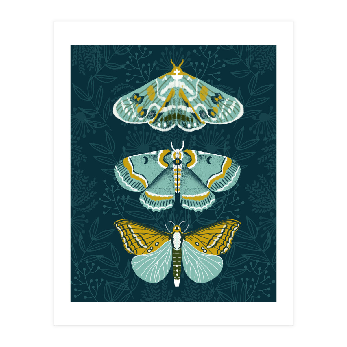 Lepidoptery8 (Print Only)