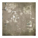 Dismay (Print Only) thumbnail