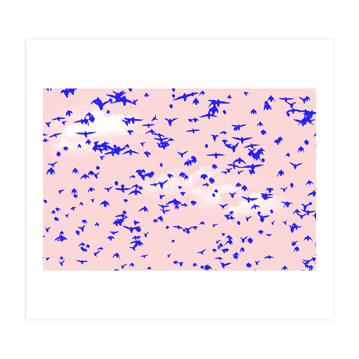 The Right To Fly (Print Only)