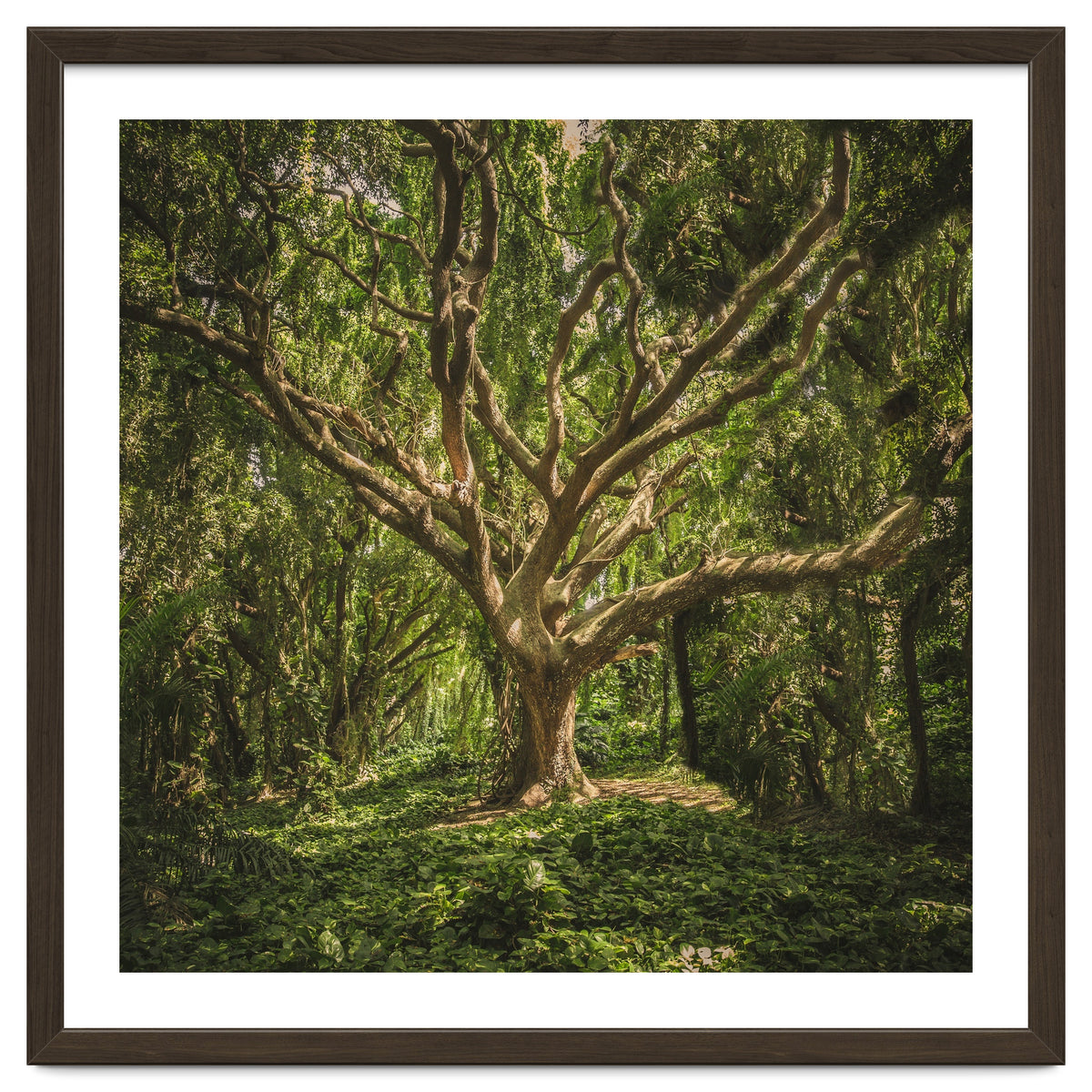 Spirits inside the wood