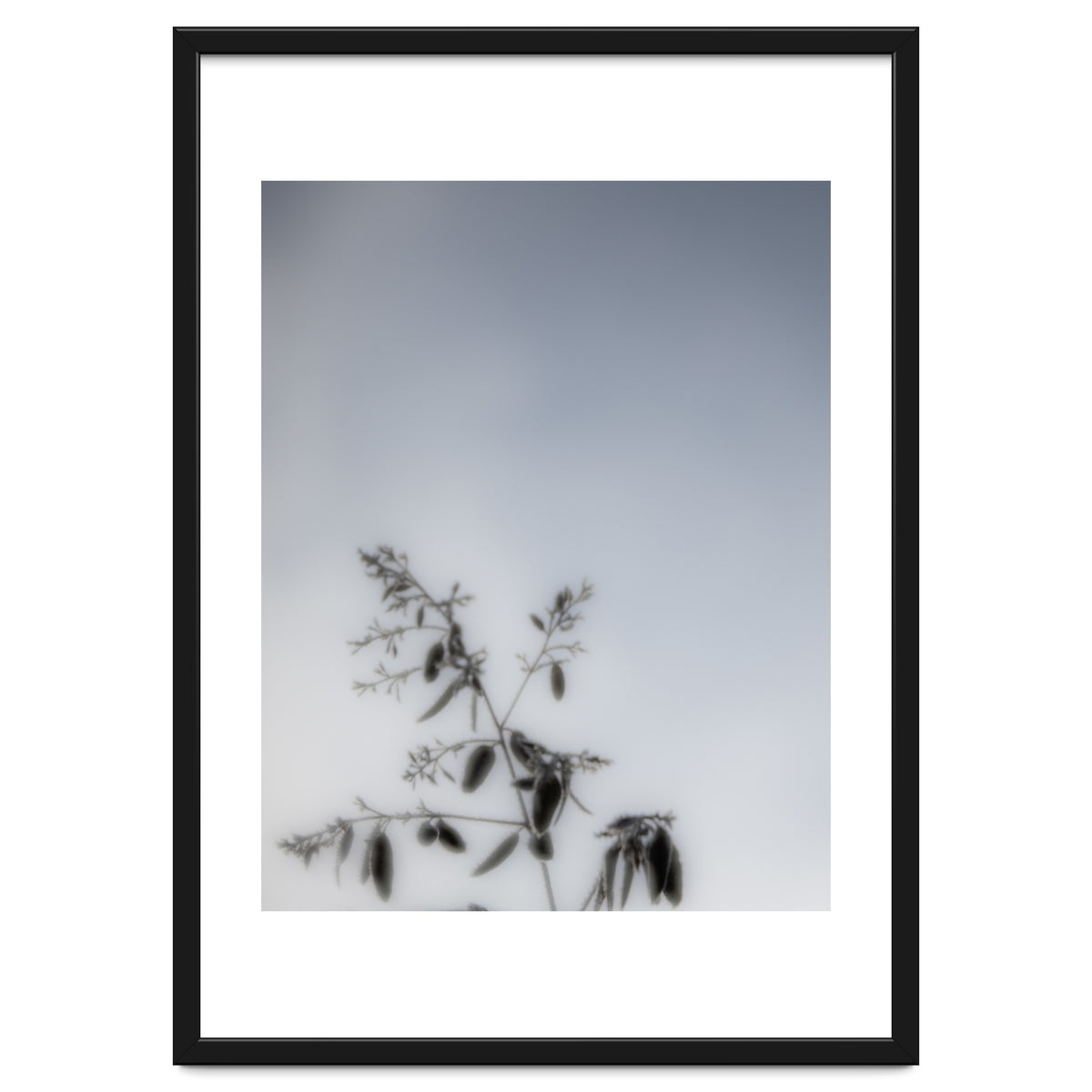 Forgotten Memories of Summer #17