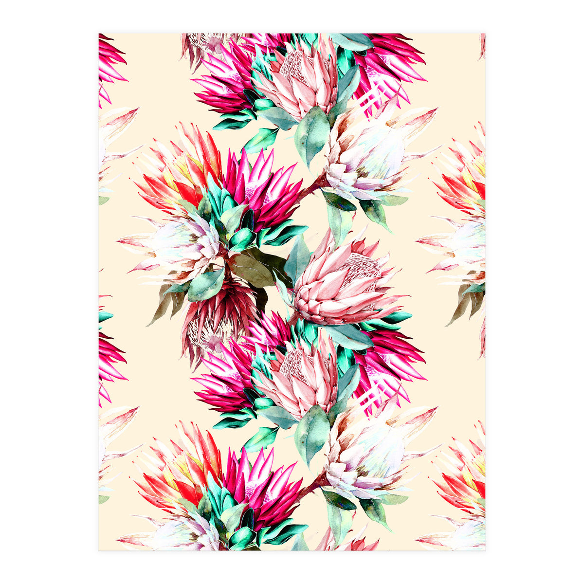 King proteas bloom II (Print Only)