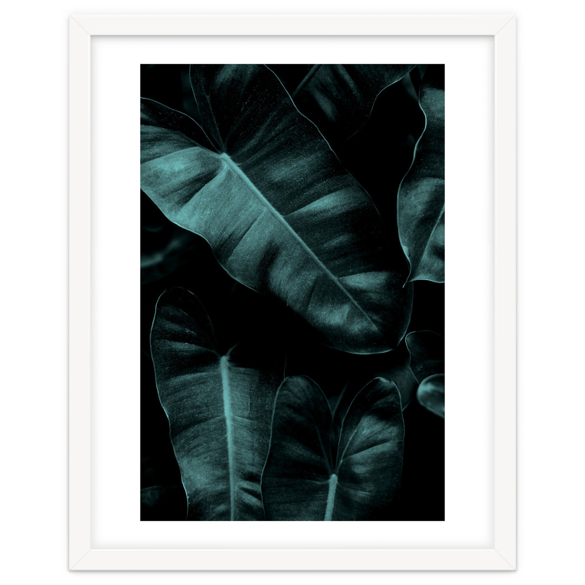 Dark Leafs