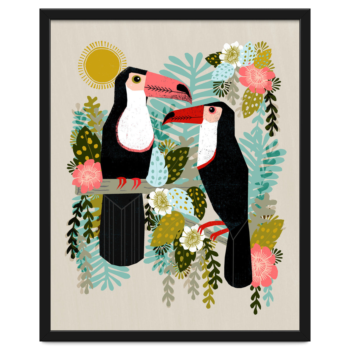 Toucans