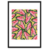 Caladium, Botanical Tropical Nature Plants, Vintage Bohemian Exotic Blush Leaves thumbnail