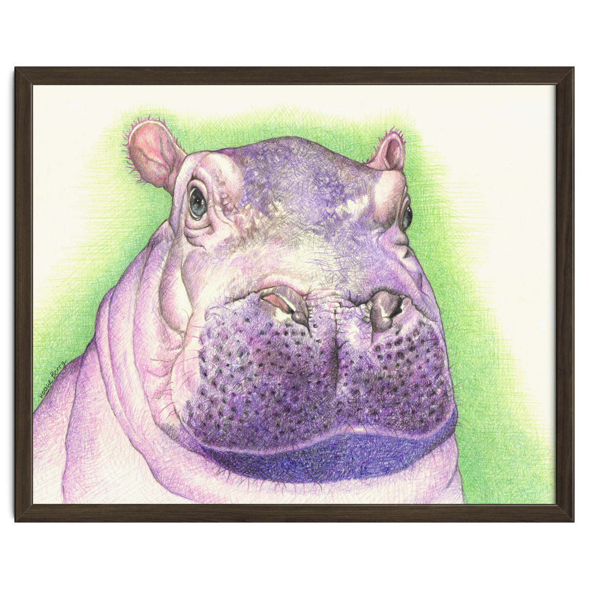 Purple Hippo