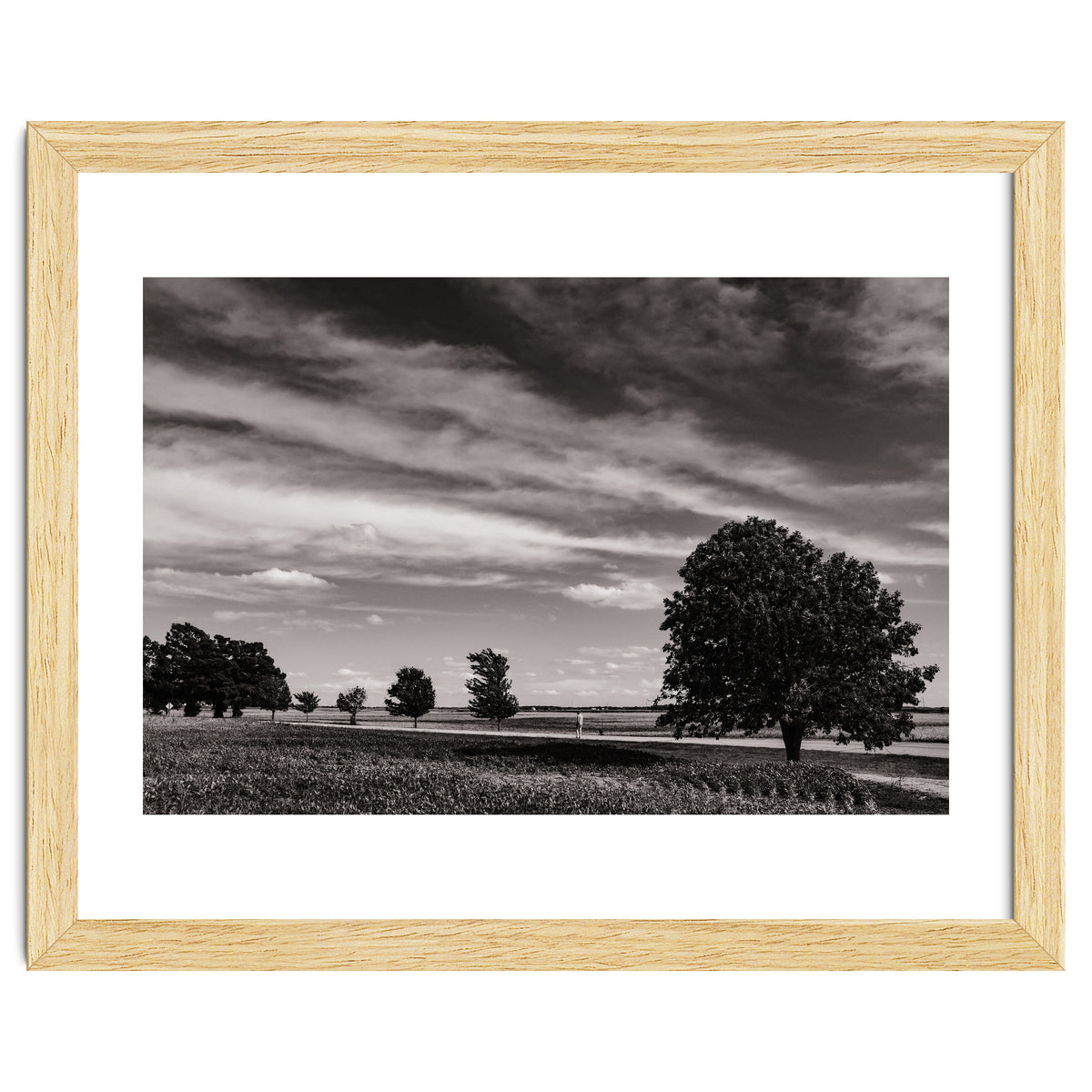 Country Road, Illinois