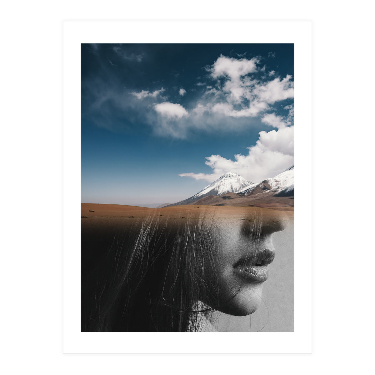 Dream Division 5 (Print Only)