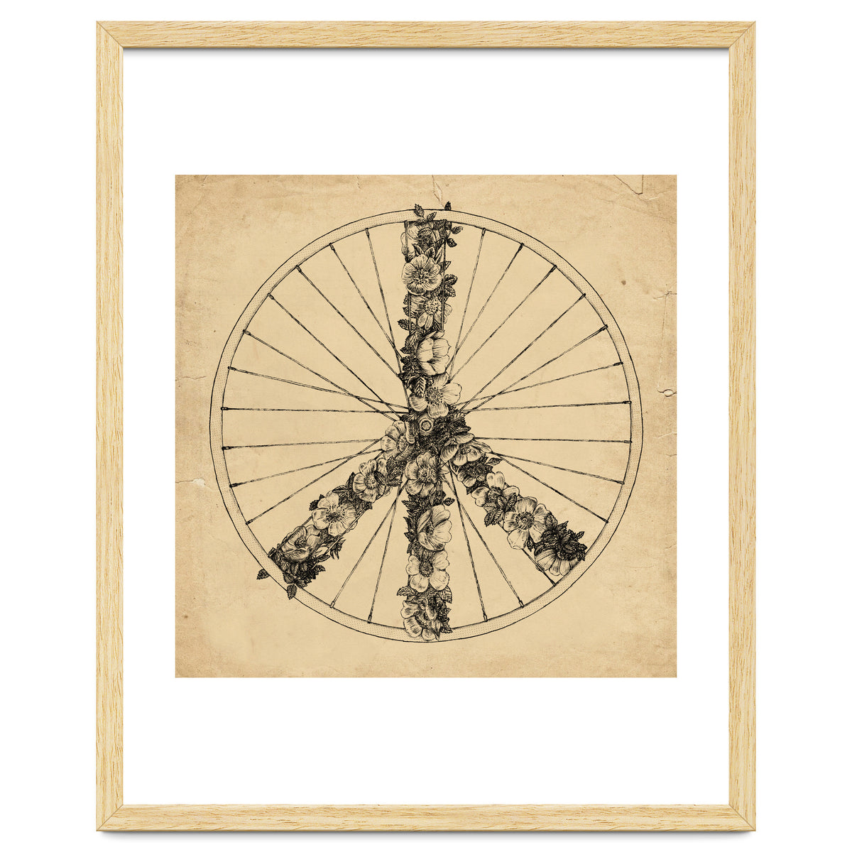 Peace And Bike Lines