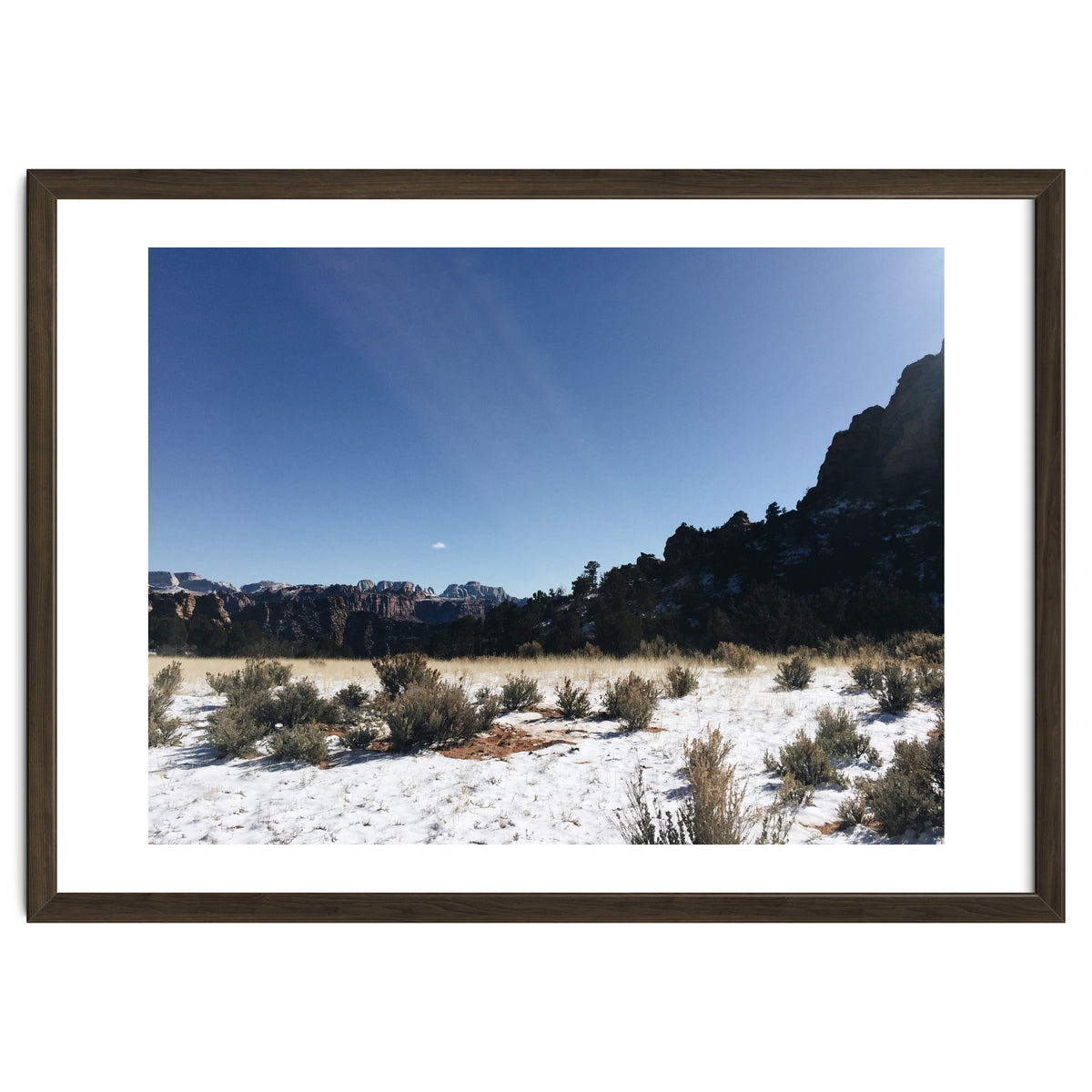 Zion National Park II