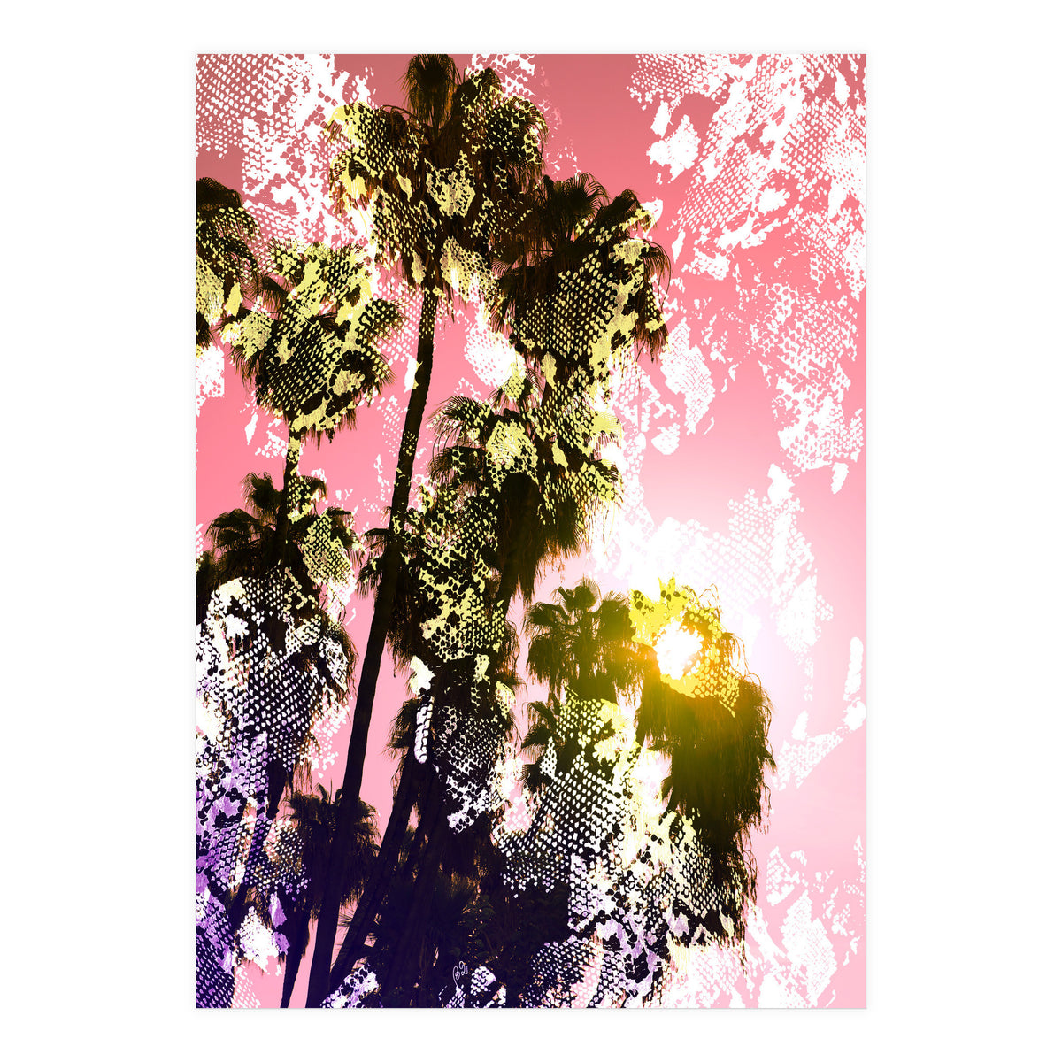 Snake sunset in paradise  (Print Only)