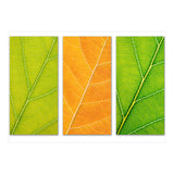 Autumn Leaves (Print Only) thumbnail