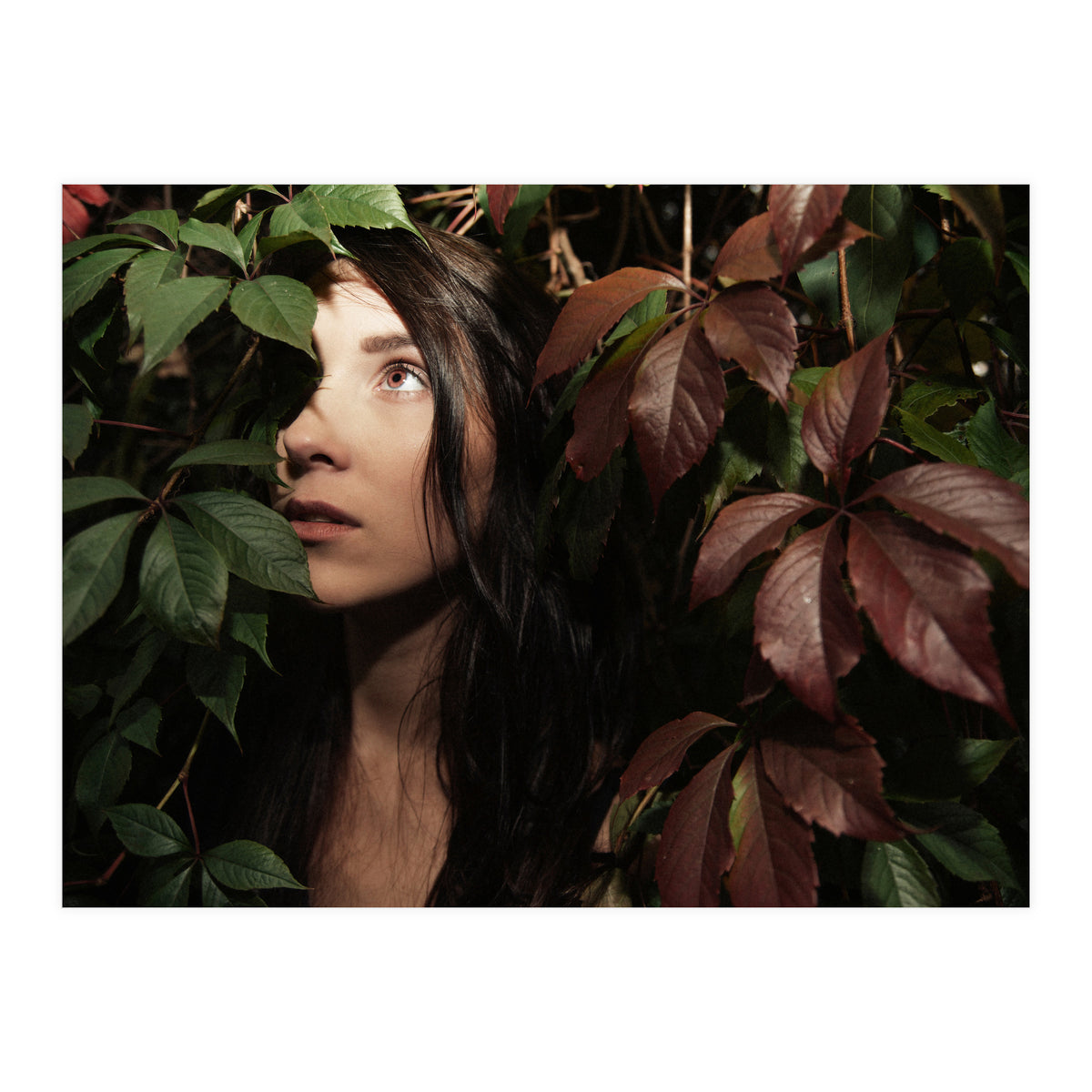 Autumn Portrait (Print Only)