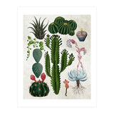 botanical (Print Only) thumbnail